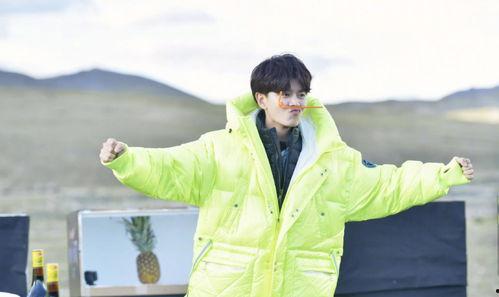 娱乐吃瓜任嘉伦,娱乐吃瓜界的“瓜王”