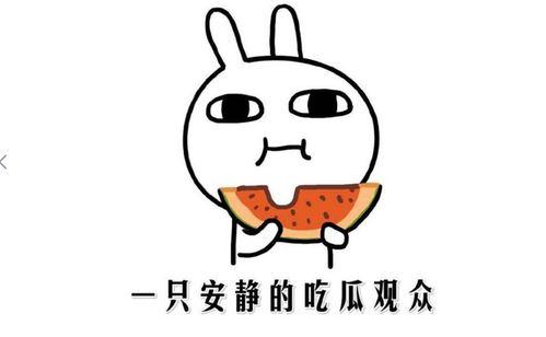 《吃瓜网》,吃瓜网带你领略明星幕后故事